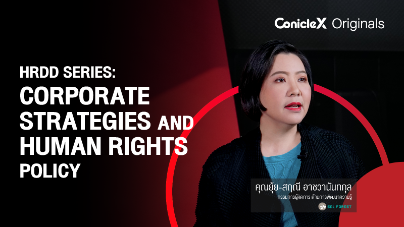 ภาพปกเนื้อหา-การกำหนดกลยุทธ์และนโยบายด้านสิทธิมนุษยชน (HRDD Series: Corporate Strategies and Human Rights Policy)