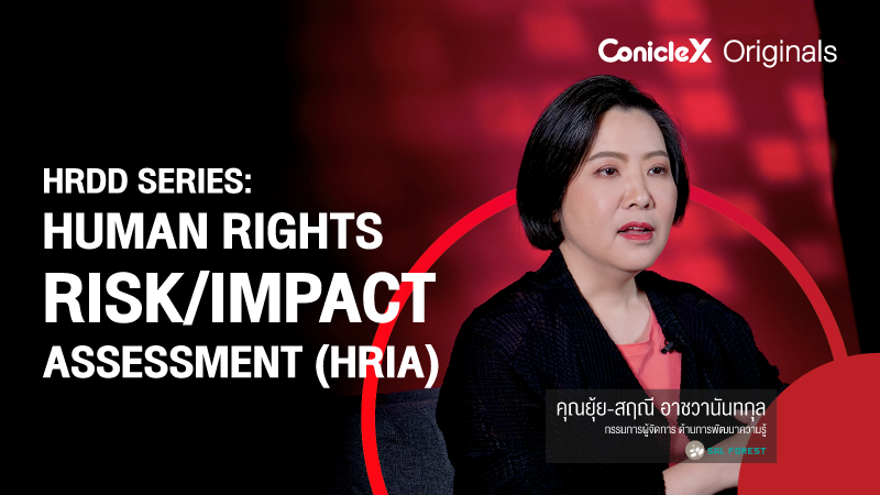 ภาพปกเนื้อหา-การประเมินความเสี่ยงและผลกระทบด้านสิทธิมนุษยชน (HRDD Series: Human Rights Risk/Impact Assessment (HRIA))